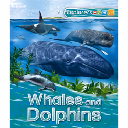ISBN Explorers: Whales and Dolphins, Anglais, Livre broché, 32 pages
