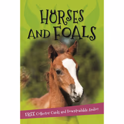 ISBN It's all about... Horses and Foals, Anglais, Livre broché, 32 pages