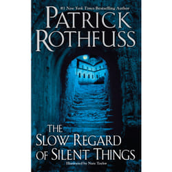 ISBN The Slow Regard of Silent Things Couverture rigide