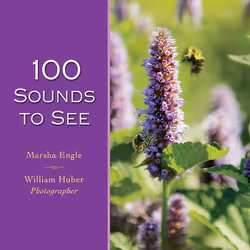 ISBN 100 Sounds to See, Santé, esprit et corps, Anglais, Couverture rigide, 116 pages