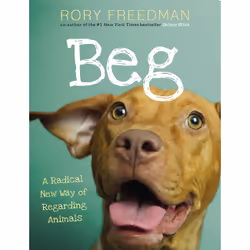 ISBN Beg, Education, Anglais, Couverture rigide, 208 pages