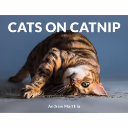 ISBN Cats on Catnip, Anglais, Couverture rigide, 128 pages
