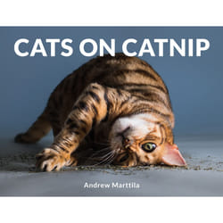 ISBN Cats on Catnip Couverture rigide