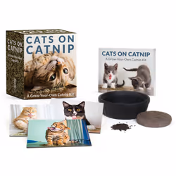 ISBN Cats on Catnip, Anglais, Livre broché, 32 pages
