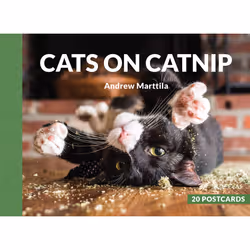 ISBN Cats on Catnip, Anglais, 20 pages