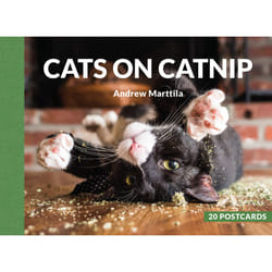 ISBN Cats on Catnip