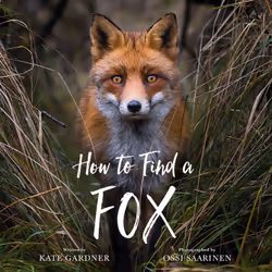 ISBN How to Find a Fox, Pour enfants, Anglais, Couverture rigide, 48 pages