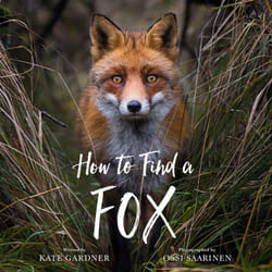 ISBN How to Find a Fox livre Pour enfants Anglais Couverture rigide