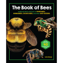 ISBN The Book of Bees livre Pour enfants Anglais Couverture rigide