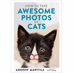 ISBN How to Take Awesome Photos of Cats, Anglais, Couverture rigide, 240 pages