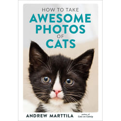ISBN How to Take Awesome Photos of Cats Couverture rigide