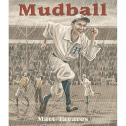 ISBN Mudball