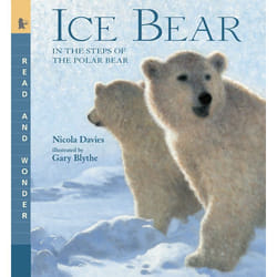 ISBN Ice Bear