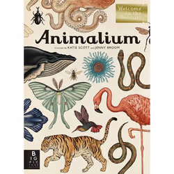 ISBN Animalium, Anglais, Couverture rigide, 112 pages