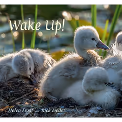 ISBN Wake Up!, Anglais, Couverture rigide, 32 pages