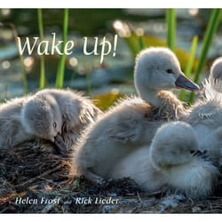 ISBN Wake Up! Couverture rigide