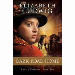 ISBN Dark Road Home, Anglais, Livre broché, 352 pages