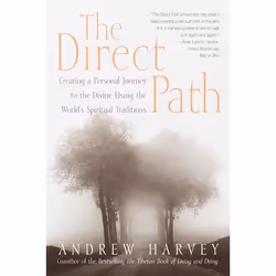 ISBN The Direct Path, Livre broché, 304 pages