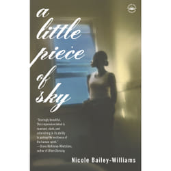 ISBN A Little Piece of Sky