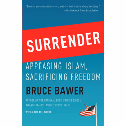 ISBN Surrender, Livre broché, 352 pages