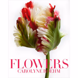 ISBN Flowers, Couverture rigide, 288 pages