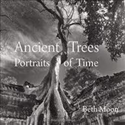 ISBN Ancient Trees : Portraits of Time, Photographie, Anglais, Couverture rigide