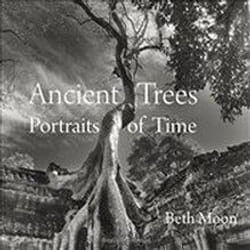 Ancient trees : Portraits of time