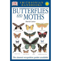 ISBN Butterflies & Moths livre