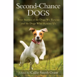 ISBN Second-Chance Dogs (True Stories of the Dogs We Rescue and the Dogs Who Rescue Us), Anglais, Livre broché, 224 pages