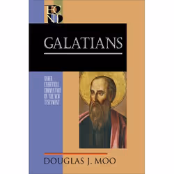 ISBN Galatians, Anglais, Couverture rigide, 496 pages