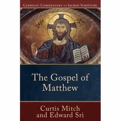 ISBN The Gospel of Matthew, Anglais, Livre broché, 384 pages