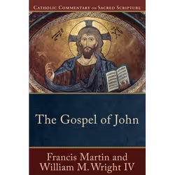 ISBN The Gospel of John, Anglais, Livre broché, 368 pages