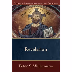 ISBN Revelation, Anglais, Livre broché, 384 pages