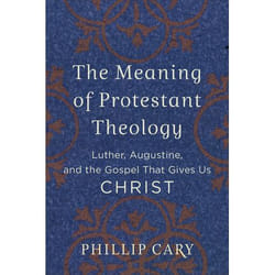 ISBN The Meaning of Protestant Theology (Luther, Augustine, and the Gospel That Gives Us Christ)