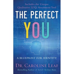 ISBN The Perfect You (A Blueprint for Identity)