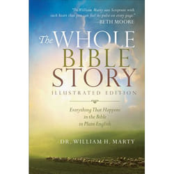 ISBN The Whole Bible Story, Illustrated Edition (Everything That Happens in the Bible in Plain English)