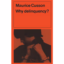 ISBN Why Delinquency?, Anglais, 204 pages
