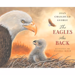 ISBN The Eagles are Back, Anglais, Couverture rigide, 32 pages