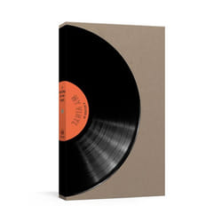 A Record of My Vinyl by Potter Gift