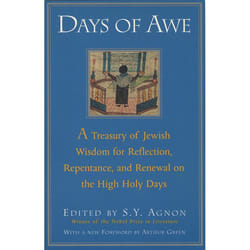 ISBN DAYS OF AWE livre