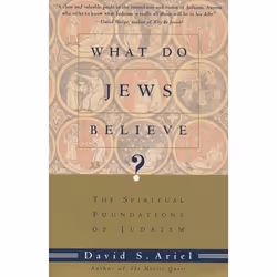 ISBN WHAT DO JEWS BELIEVE?, Livre broché, 304 pages