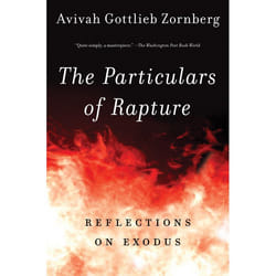 ISBN The Particulars of Rapture livre