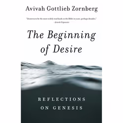 ISBN The Beginning of Desire, Livre broché, 480 pages