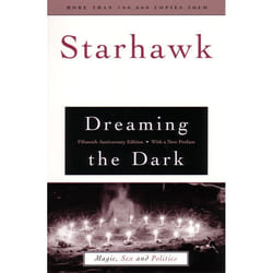 ISBN Dreaming the Dark livre