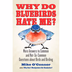 ISBN Why Do Bluebirds Hate Me?, Livre broché, 200 pages