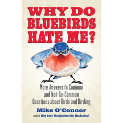 ISBN Why Do Bluebirds Hate Me? livre