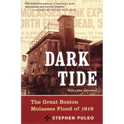 ISBN Dark Tide livre