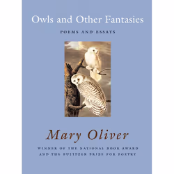 ISBN Owls and Other Fantasies, Livre broché, 88 pages