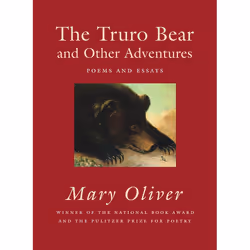 ISBN The Truro Bear and Other Adventures, Livre broché, 96 pages