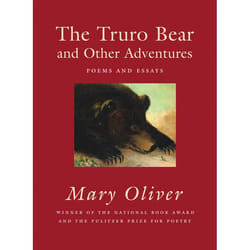 ISBN The Truro Bear and Other Adventures livre